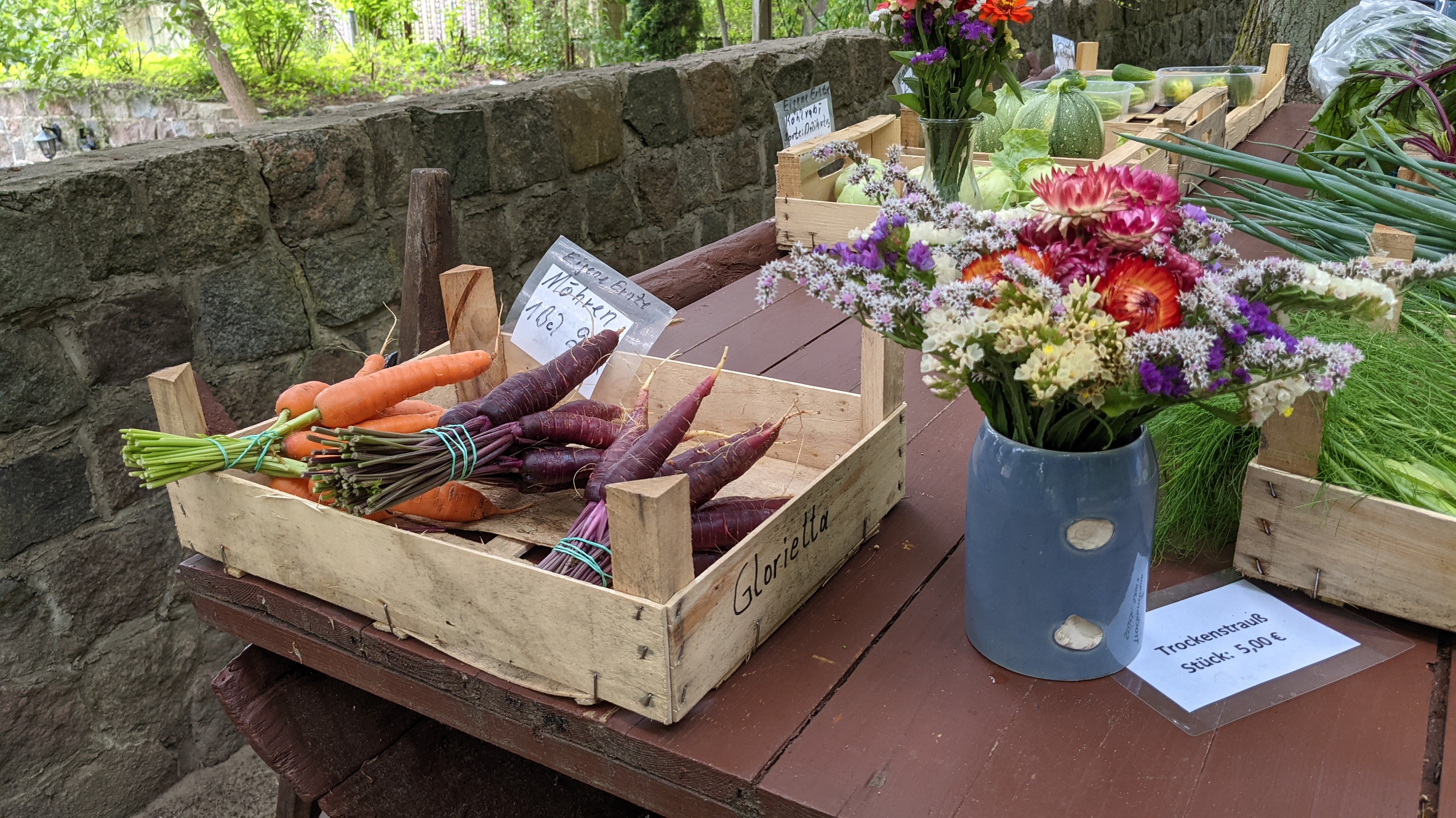 frische Karotten und Blumen in Rheinsberg